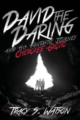 Cover of David the Daring and His Fantastic Journey