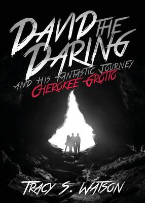 Book cover for David the Daring and His Fantastic Journey