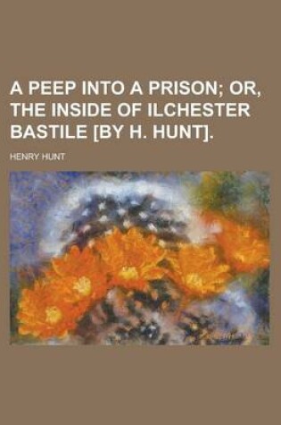 Cover of A Peep Into a Prison