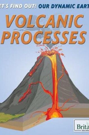 Cover of Volcanic Processes