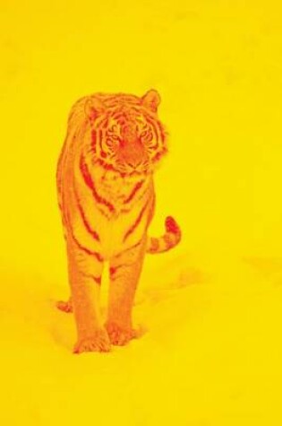 Cover of Website Password Organizer, Tiger with Yellow Background