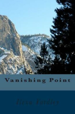 Cover of Vanishing Point