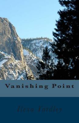 Book cover for Vanishing Point