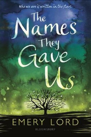 Cover of Names They Gave Us
