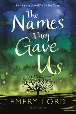 Book cover for Names They Gave Us