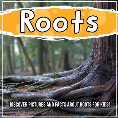 Book cover for Roots