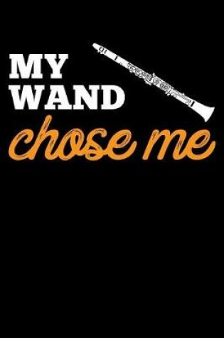 Cover of My Wand Chose Me