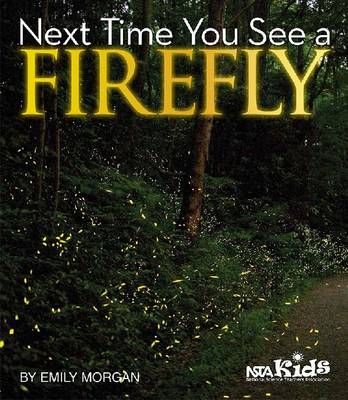 Book cover for Next Time You See a Firefly