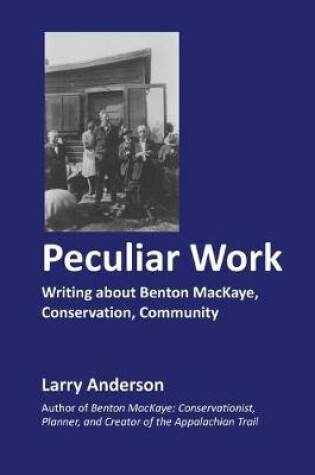 Cover of Peculiar Work