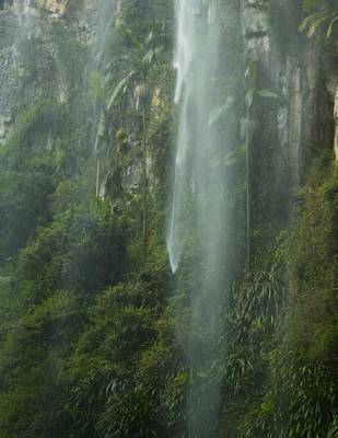 Book cover for Jumbo Oversized Thunder Creek Falls in New Zealand