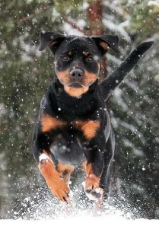 Cover of Rottweiler Racing in the Snow Journal