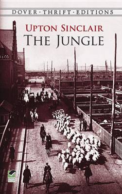 Book cover for The Jungle