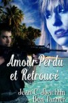 Book cover for Amour Perdu et Retrouve