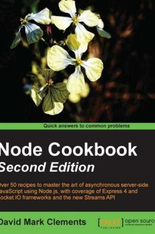 Cover of Node Cookbook