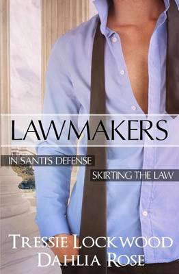 Book cover for Lawmakers