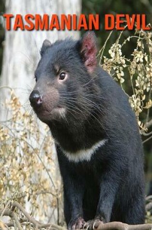 Cover of Tasmanian Devil