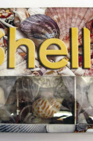 Cover of Shells