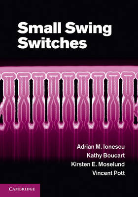 Cover of Small Swing Switches