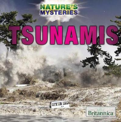 Book cover for Tsunamis