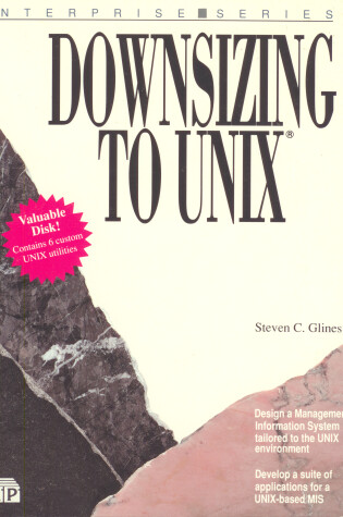 Cover of Downsizing to Unix
