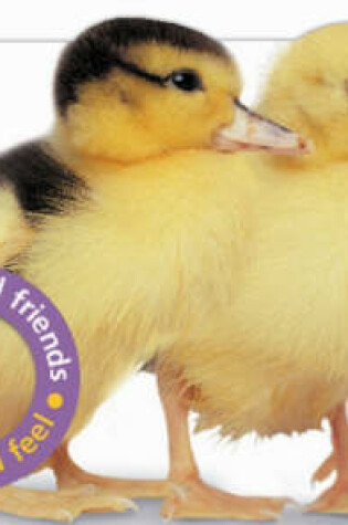 Cover of Touch & Feel: Duckling and Friends