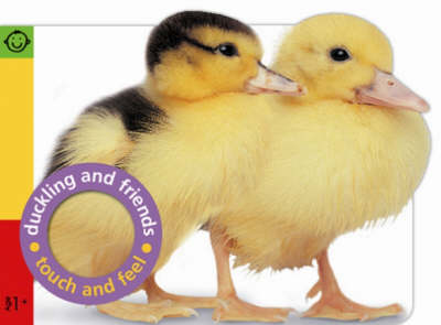 Cover of Touch & Feel: Duckling and Friends