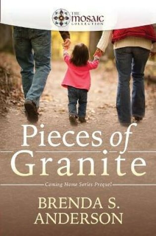Cover of Pieces of Granite