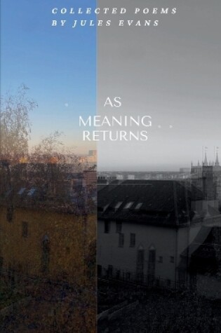 Cover of As Meaning Returns