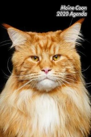 Cover of Maine Coon 2020 Agenda