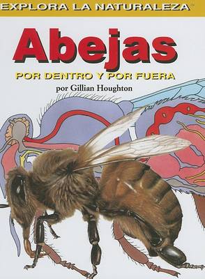 Book cover for Abejas: Por Dentro Y Por Fuera (Bees: Inside and Out)