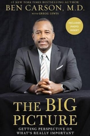 Cover of The Big Picture