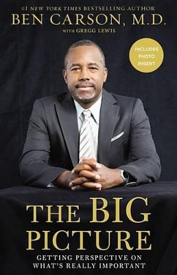 Book cover for The Big Picture