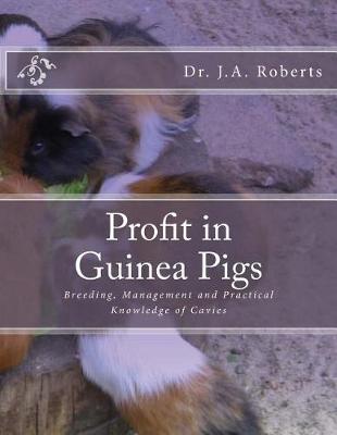 Book cover for Profit in Guinea Pigs
