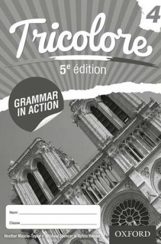 Cover of Tricolore Grammar in Action 4 (8 Pack)