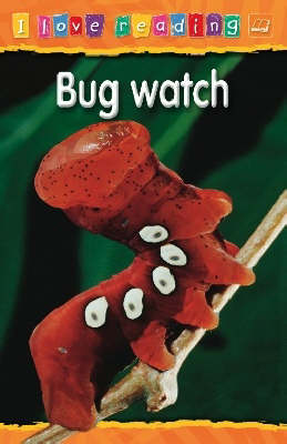 Book cover for Bug Watch