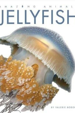 Cover of Jellyfish