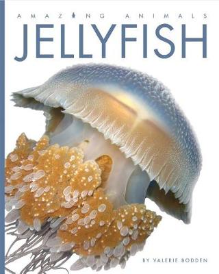 Book cover for Jellyfish