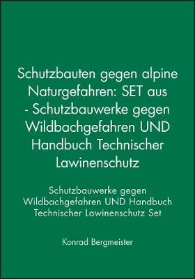 Book cover for Schutzbauten gegen alpine Naturgefahren