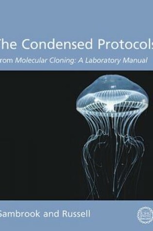 Cover of Condensed Protocols from Molecular Cloning