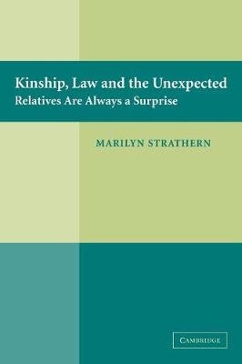 Book cover for Kinship, Law and the Unexpected