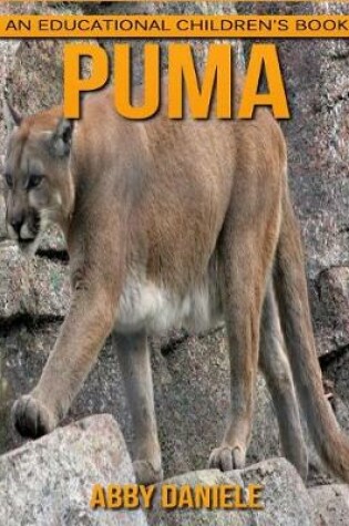 Cover of Puma! An Educational Children's Book about Puma with Fun Facts & Photos