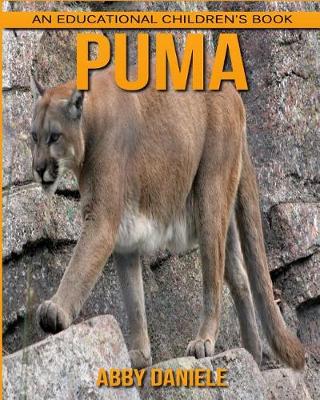 Book cover for Puma! An Educational Children's Book about Puma with Fun Facts & Photos