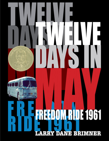 Book cover for Twelve Days in May