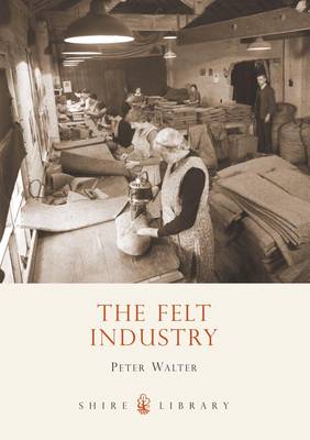 Book cover for The Felt Industry