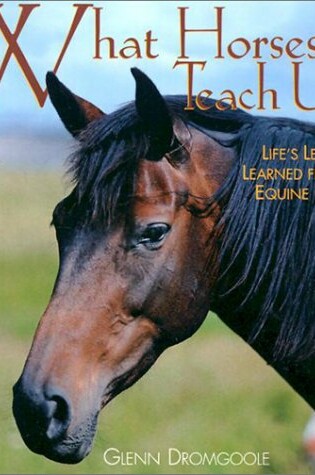 Cover of What Horses Teach Us: Life's Lessons Learned from Our Equine Friends