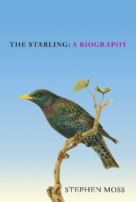 Book cover for The Starling