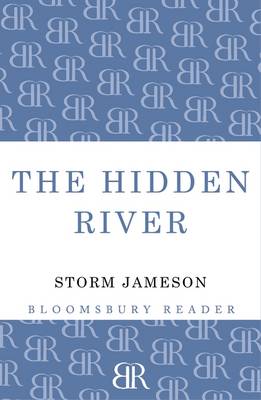 Book cover for The Hidden River