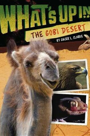 Cover of What's Up In The Gobi Desert