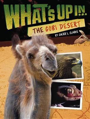 Book cover for What's Up In The Gobi Desert
