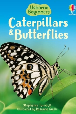 Cover of Caterpillars and Butterflies